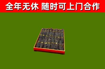 寒亭区回收海参